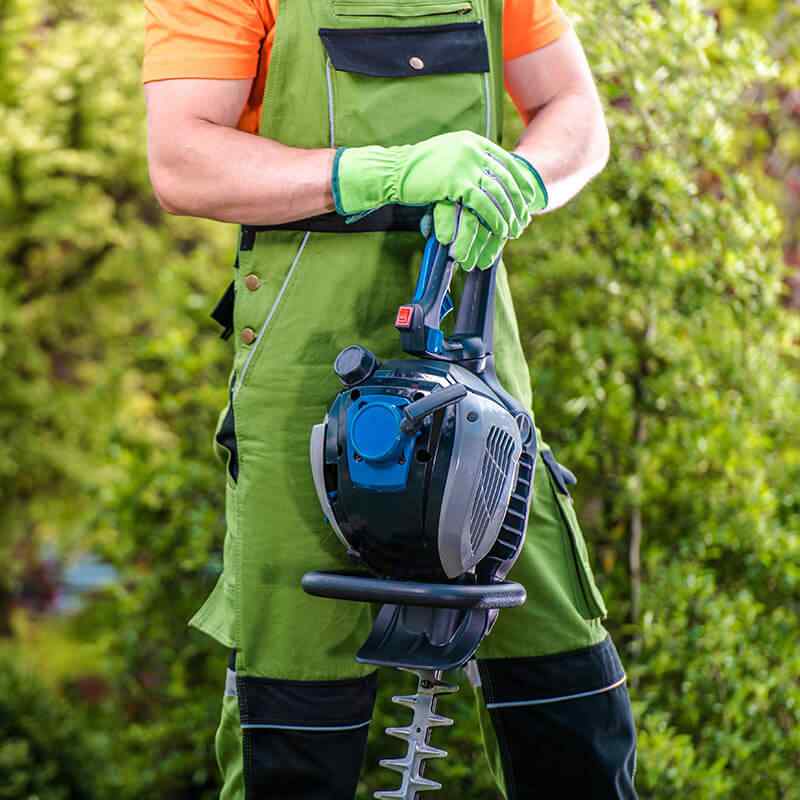 https://gartenbau-kaulen.de/wp-content/uploads/2019/08/home_4_services.jpg