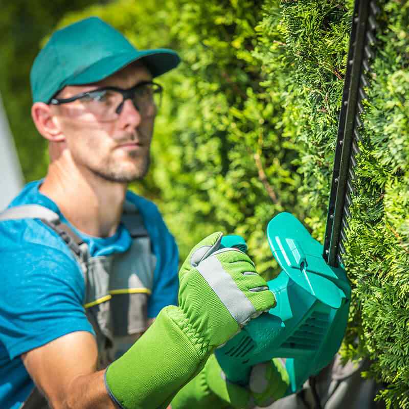 https://gartenbau-kaulen.de/wp-content/uploads/2019/08/team_05.jpg