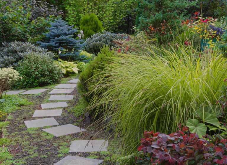 https://gartenbau-kaulen.de/wp-content/uploads/2019/10/gallery_06-768x560.jpg