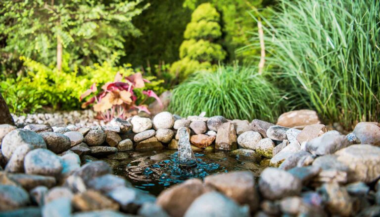 https://gartenbau-kaulen.de/wp-content/uploads/2019/10/slider_03-768x440.jpg