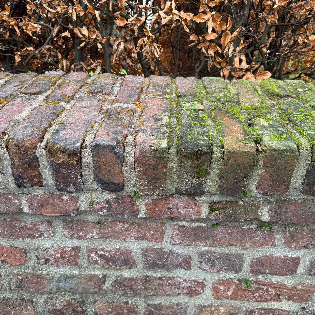 Aussenreinigung_17