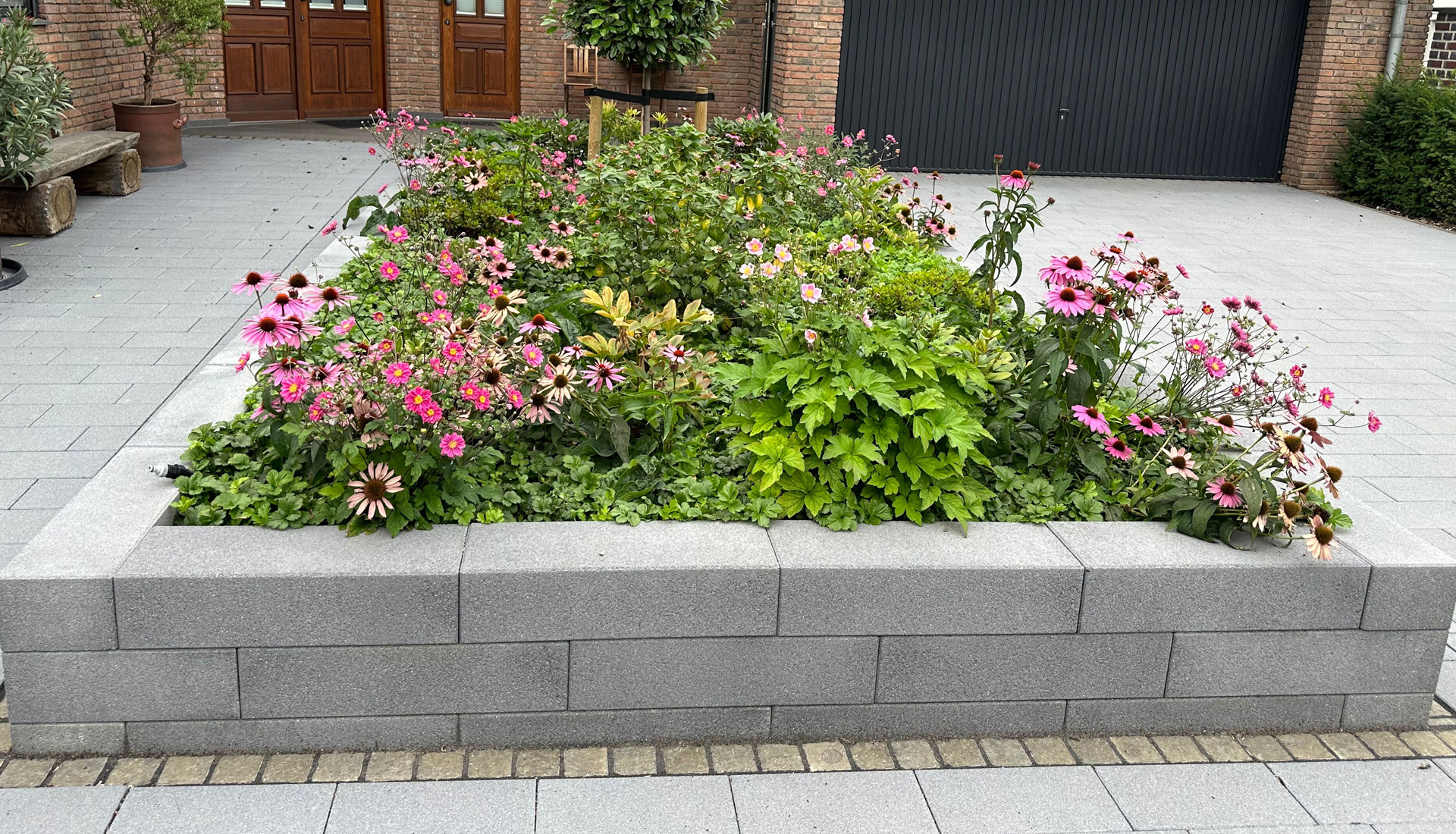 https://gartenbau-kaulen.de/wp-content/uploads/2025/02/Hochbeete_titel_1920_1100.jpg