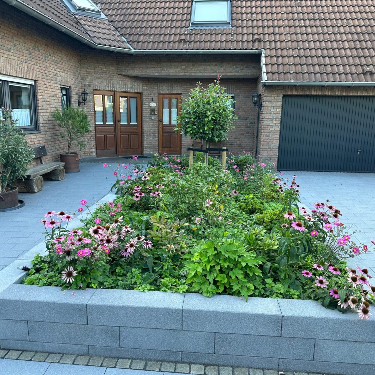 IMG_4658-scaled IMG_4658-scaled