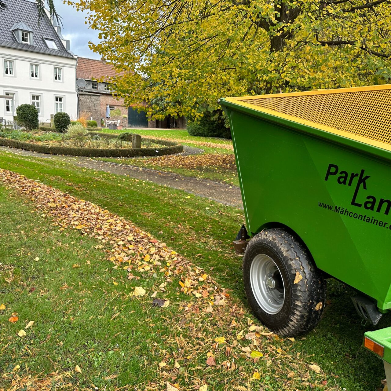 Laub_2