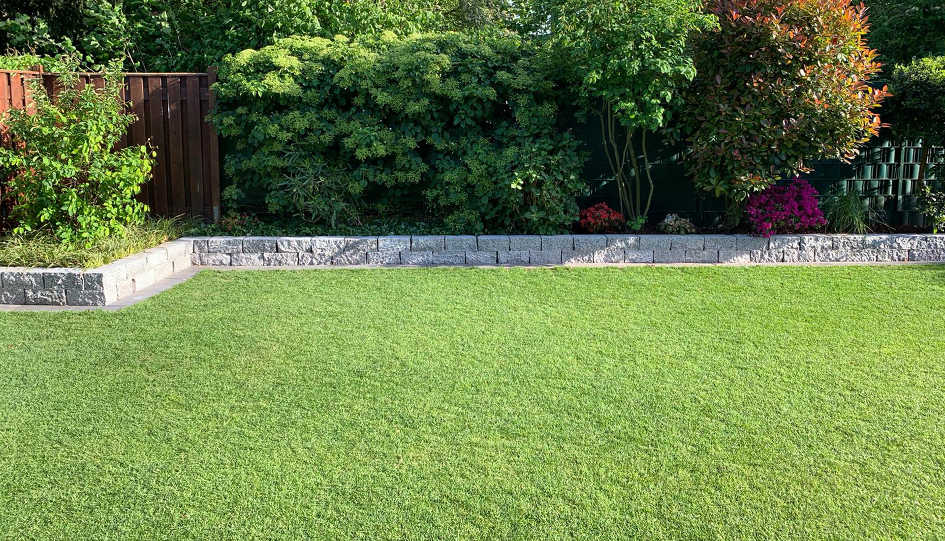 https://gartenbau-kaulen.de/wp-content/uploads/2025/02/Rasenbau_titel_1920_1100.jpg