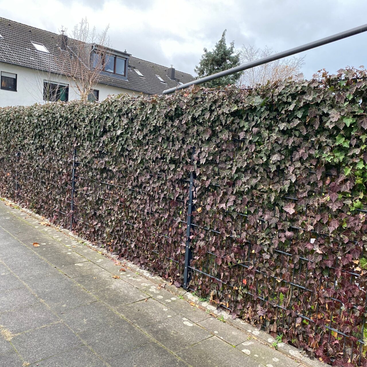 Zaun_Mauerbau_10