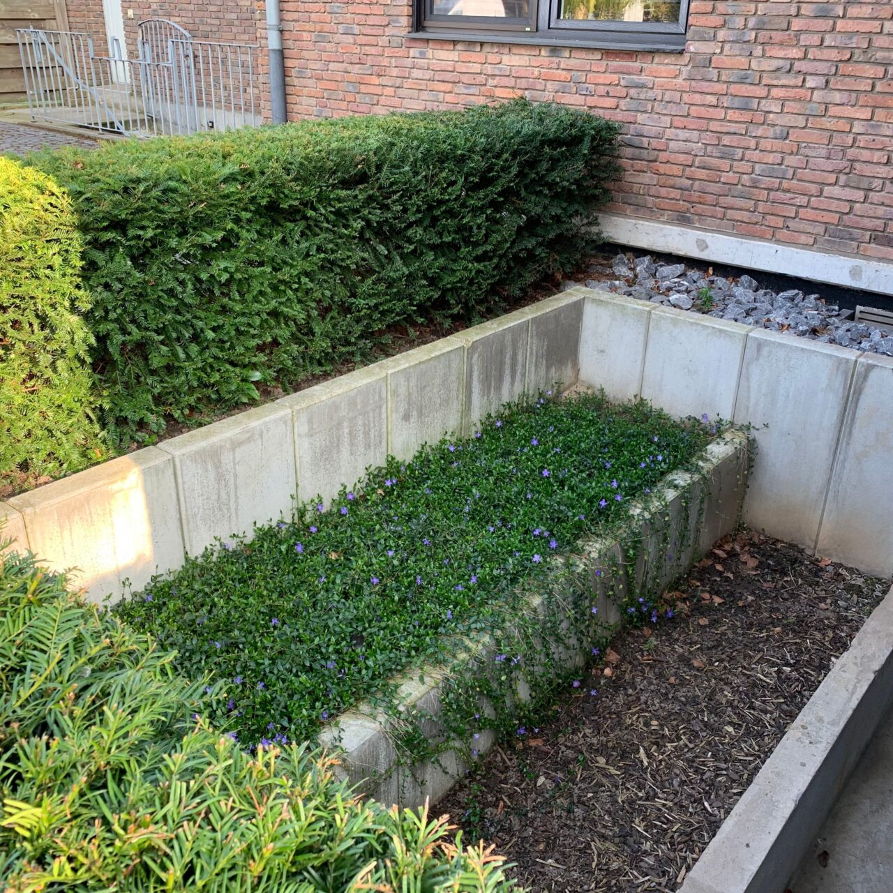 Zaun_Mauerbau_13