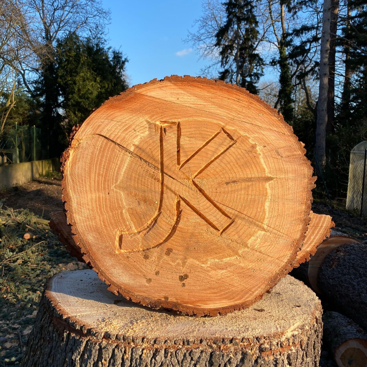 baumfaellungen_14