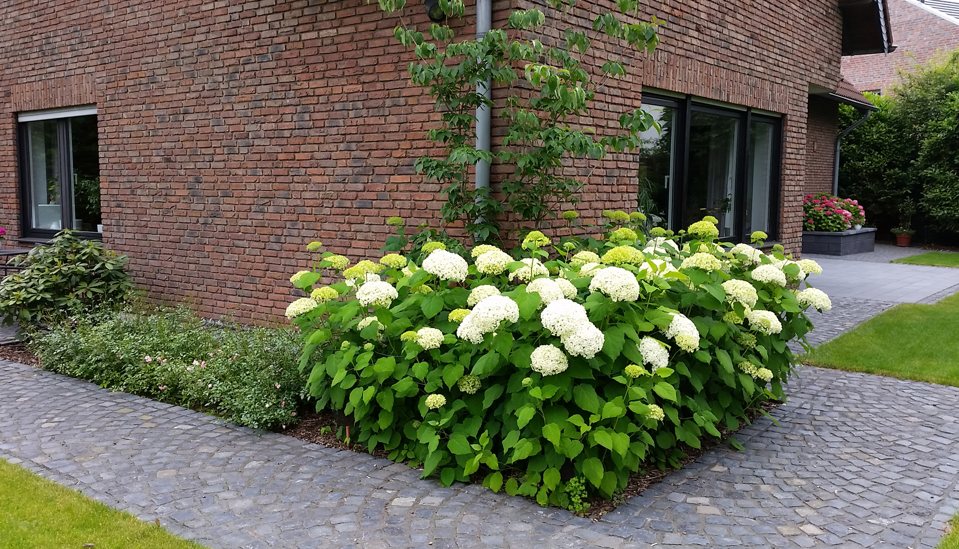 https://gartenbau-kaulen.de/wp-content/uploads/2025/02/gartenpflege_Titel_kategorie_1920_1100.jpg