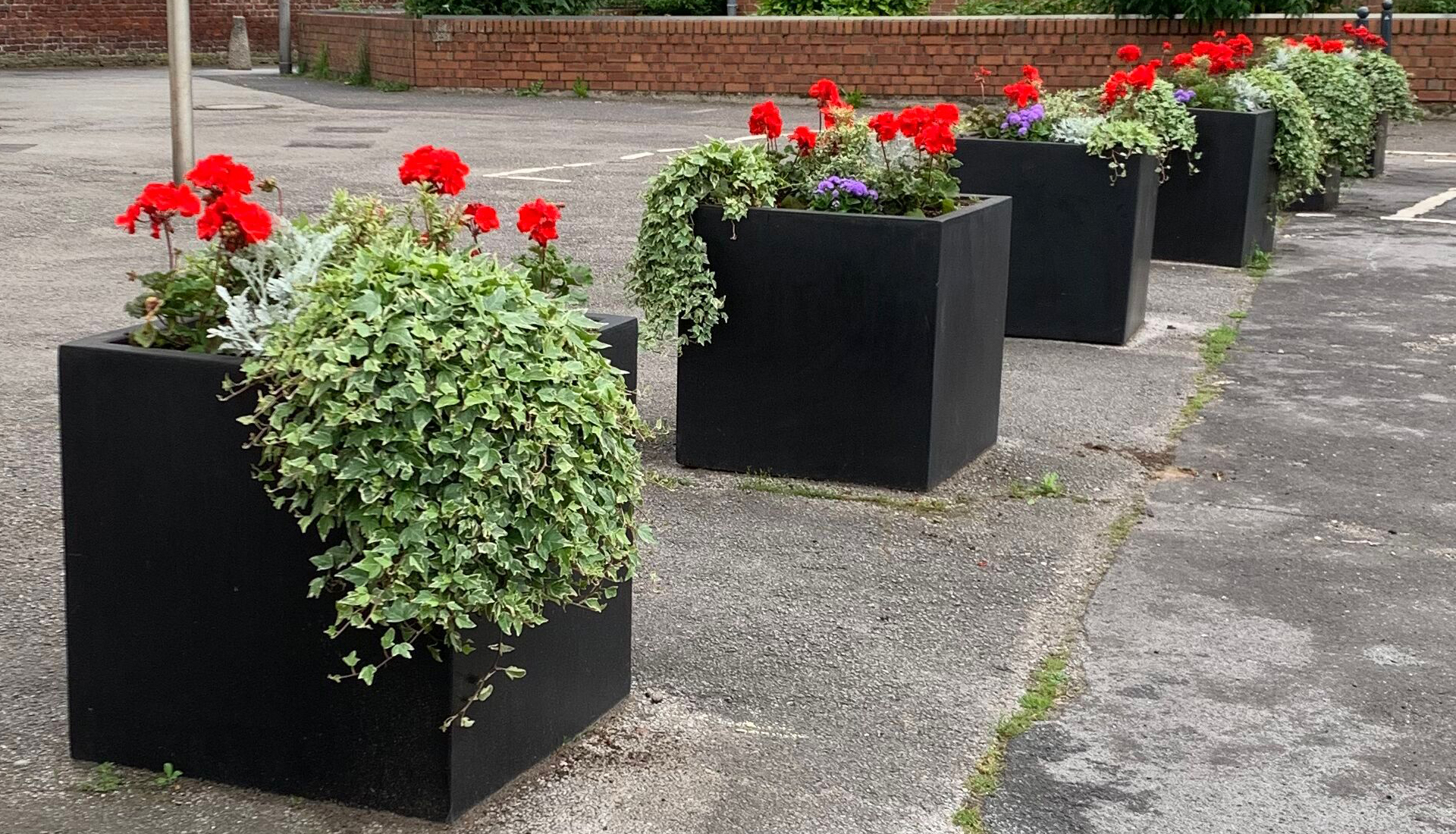 https://gartenbau-kaulen.de/wp-content/uploads/2025/02/weitere_titel_1920_1100.jpg